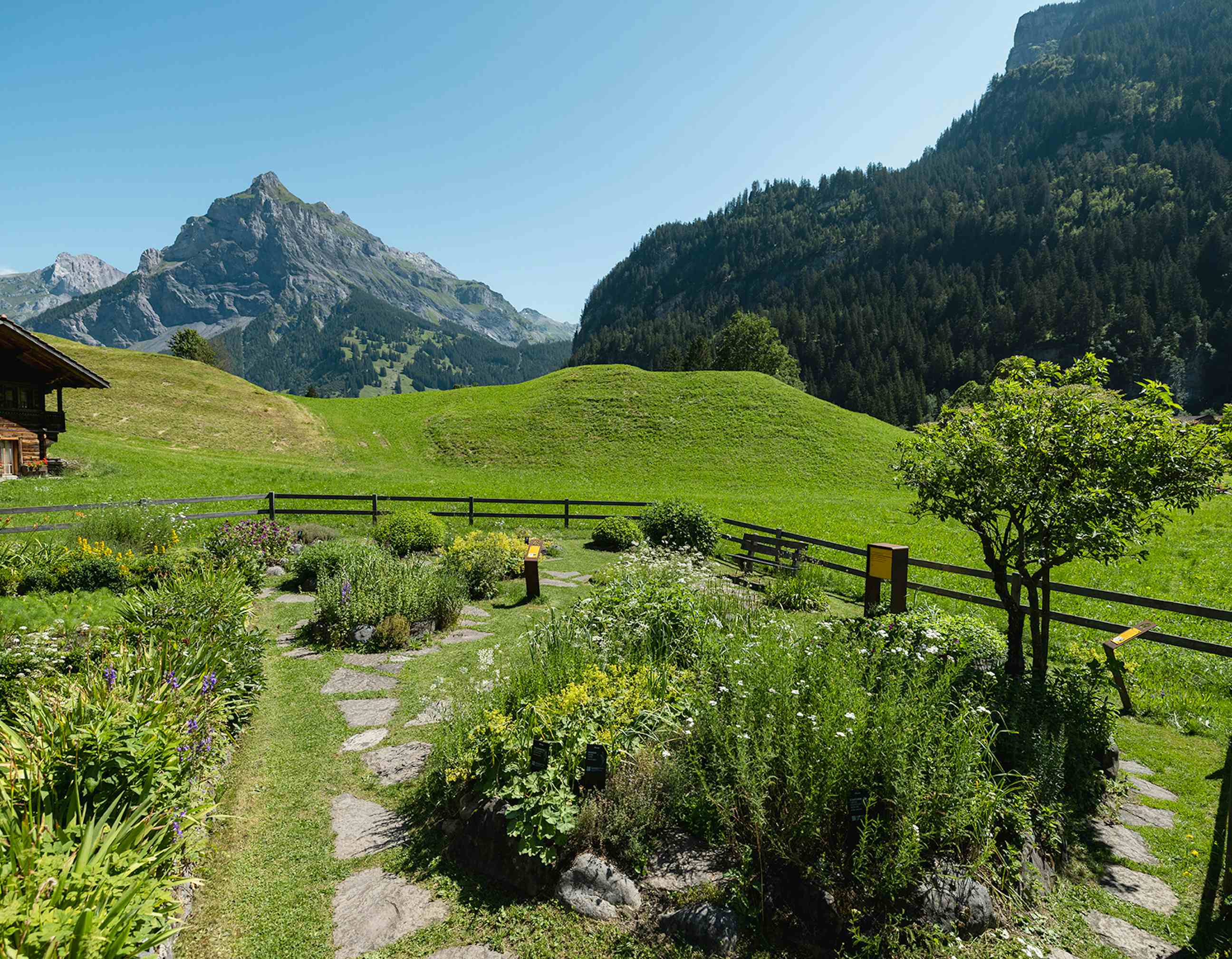 Herb Garden Kandersteg